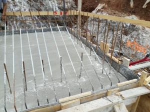 IMG_20171125_080635 (Large)